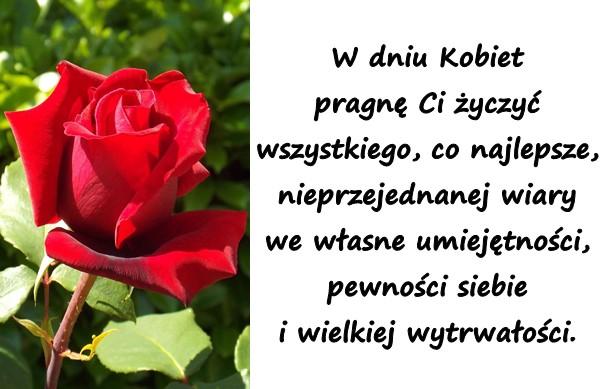 Czerwona róża w ogrodzie z życzeniami na dzień kobiet